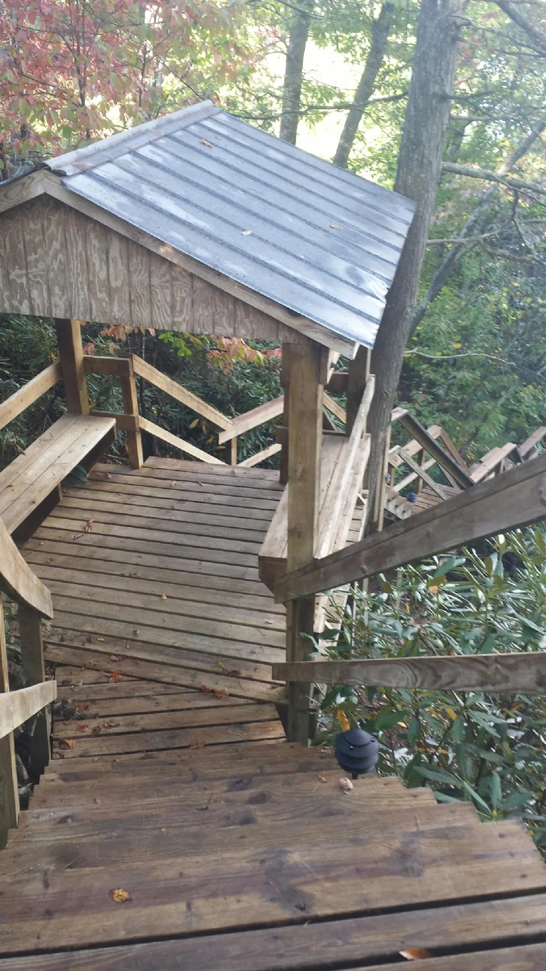 Metal roofed shelter over wooden steps on a wooded walkway — Skylight Repair & Installation work by our crew in Apalachicola